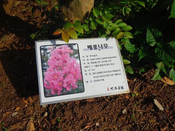 상세보기