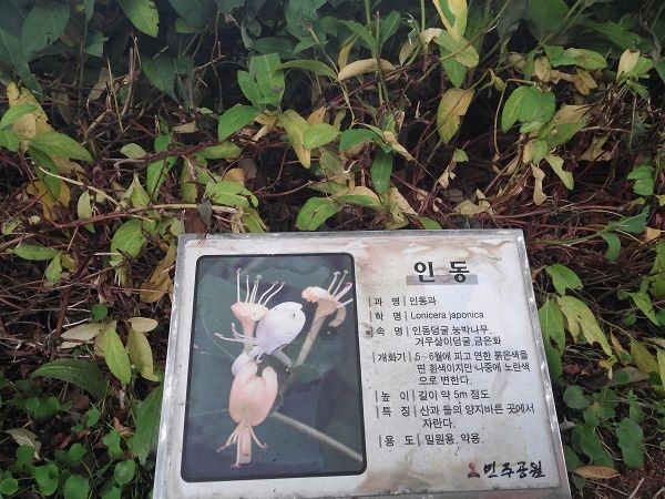 상세보기