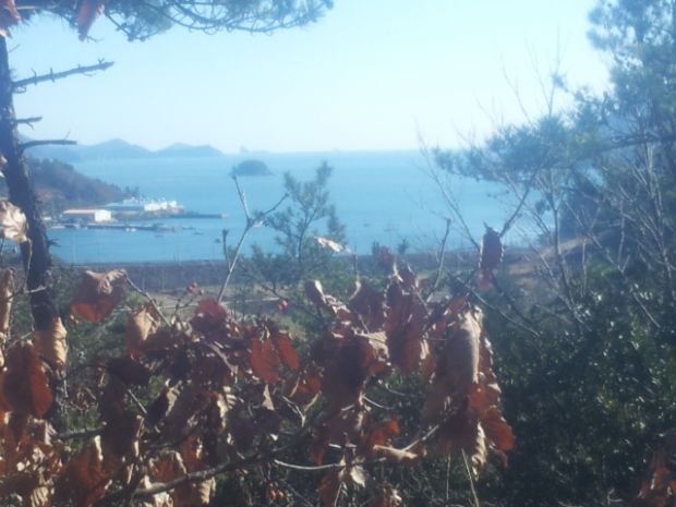 상세보기