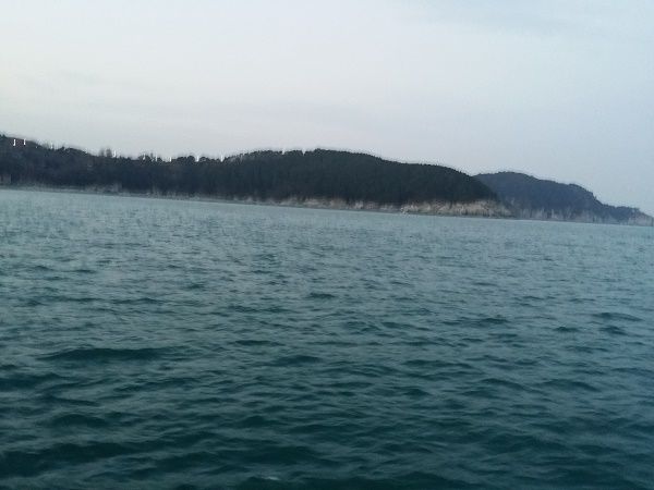 상세보기