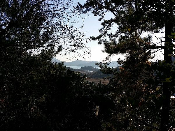 상세보기