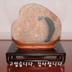 상세보기