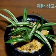 제왕