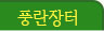 풍란